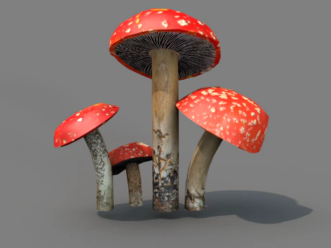 Cogumelos Red Cap 3D Model
