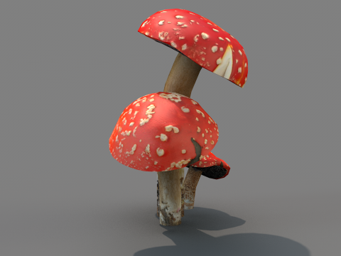 Cogumelos Red Cap Modelo 3D