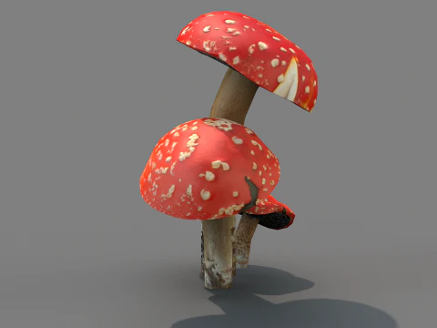 Cogumelos Red Cap 3D Model