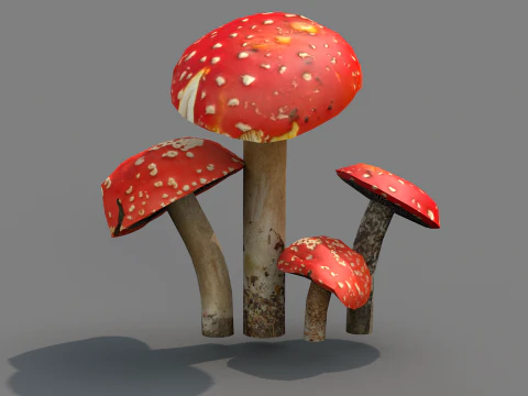 Cogumelos Red Cap 3D Model
