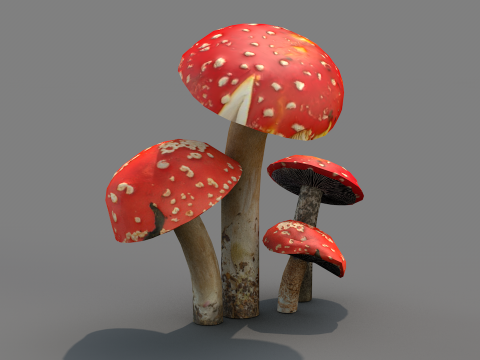 Cogumelos Red Cap Modelo 3D