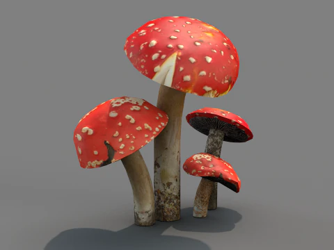 Cogumelos Red Cap 3D Model