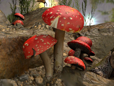 Cogumelos Red Cap 3D Model