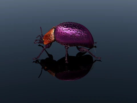 Besouro Inseto Modelo 3D