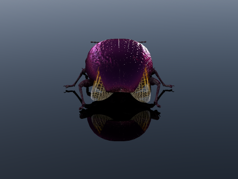 Besouro Inseto Modelo 3D