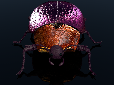 Besouro Inseto Modelo 3D