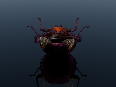 Besouro Inseto Modelo 3D