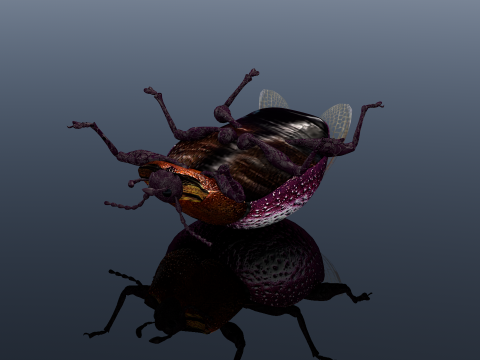 Besouro Inseto Modelo 3D