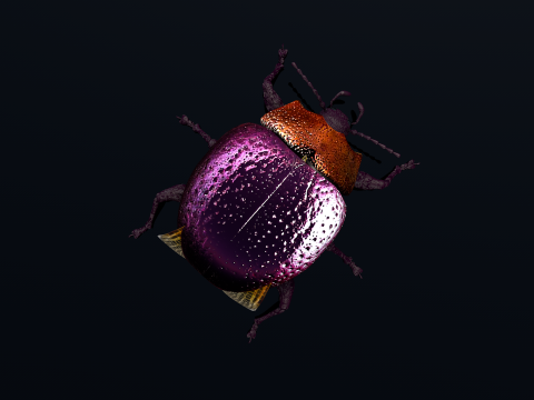 Besouro Inseto Modelo 3D