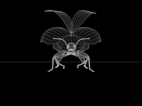 Besouro Inseto Modelo 3D