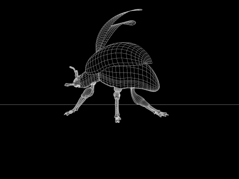 Besouro Inseto Modelo 3D