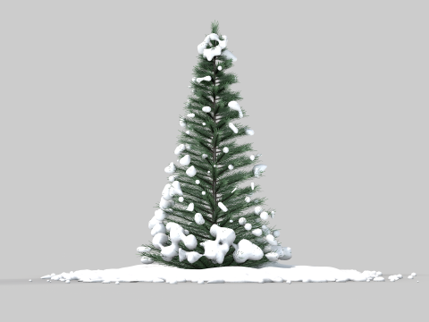 Pine Tree in The Snow 3D मॉडल