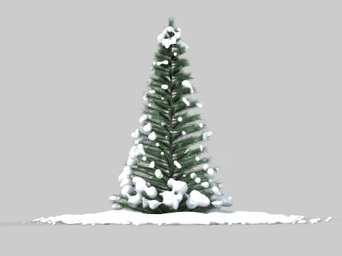Pine Tree in The Snow 3D Model