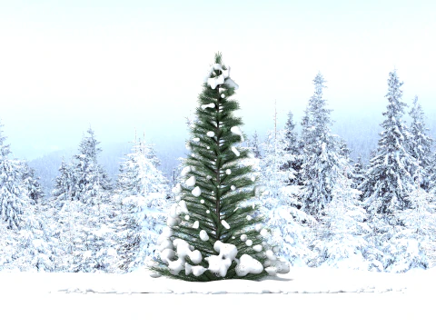 Pine Tree in The Snow 3D Model
