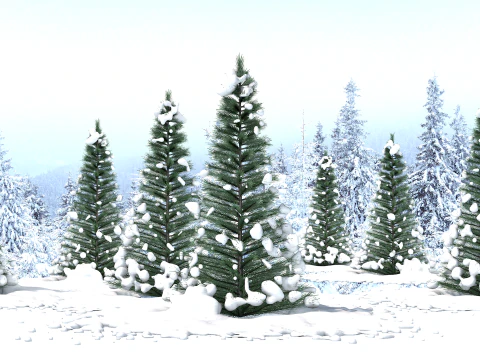 Pine Tree in The Snow 3D Model