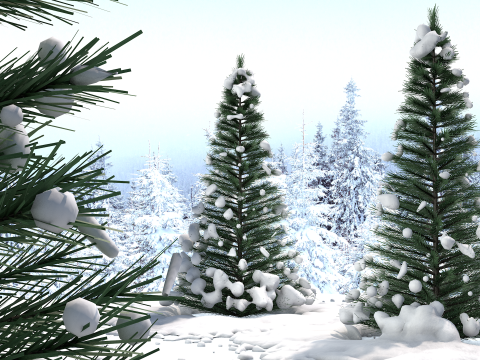Pine Tree in The Snow 3D मॉडल