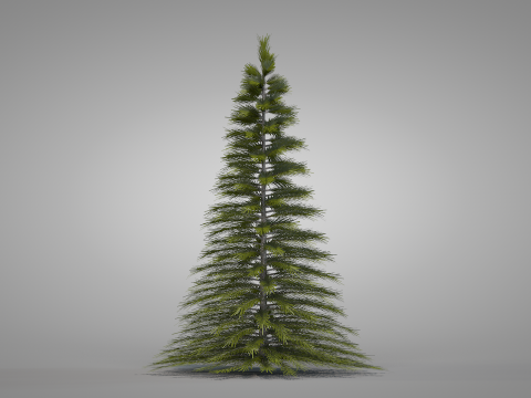 Christmas Pine Tree Modelo 3D