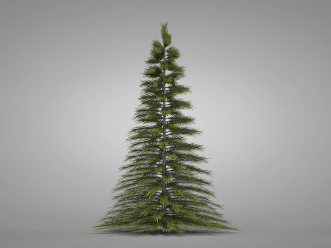 Christmas Pine Tree 3D Model
