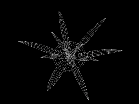 Plant Aloe Vera 3D Model