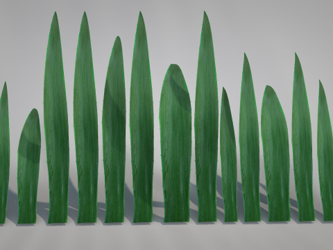 Plant Aloe Vera 3D Model