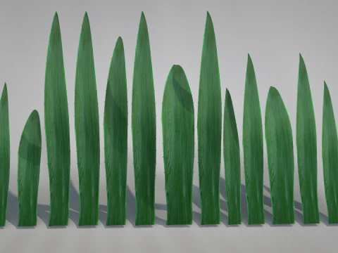 Plant Aloe Vera 3D Model
