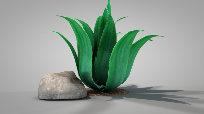 Plant Agave Family Modèle 3D .c4d .max .obj .3ds .fbx .stl .blend