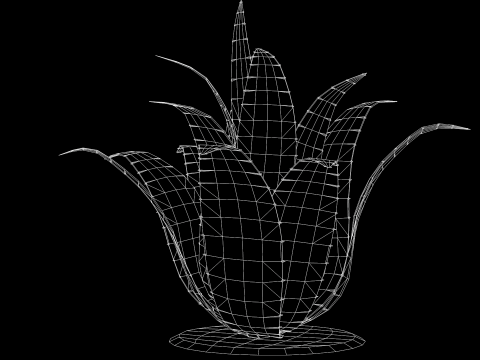 Plant Agave Family Modèle 3D