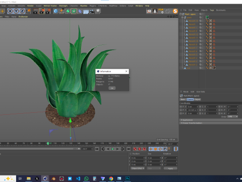 Plant Agave Family Modèle 3D