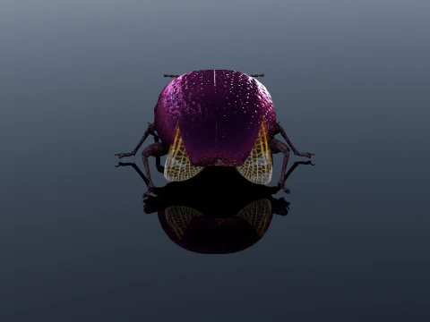 Beetle Insect 3D Model