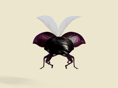 Beetle Insect 3D मॉडल