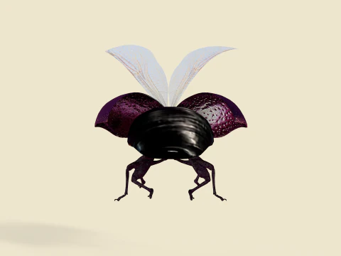 Beetle Insect 3D Model