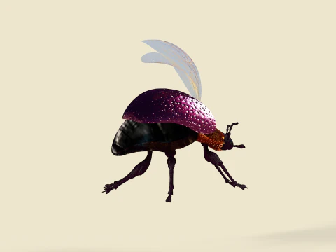Beetle Insect 3D Model