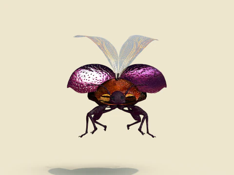 Beetle Insect 3D Model