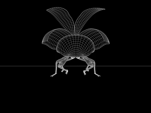 Beetle Insect 3D Model