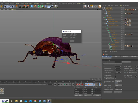 Beetle Insect 3D Model