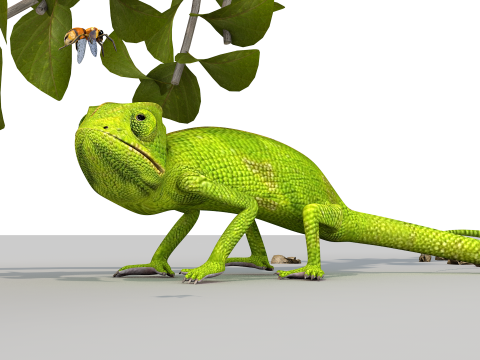 Cameleon One Modelo 3D