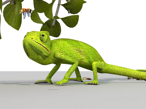 Cameleon One 3D Model