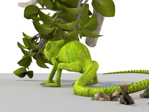 Cameleon One 3D Model
