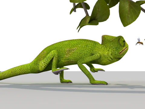 Cameleon One 3D Model