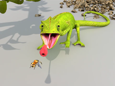 Cameleon One 3D Model