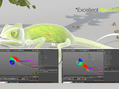 Cameleon One 3D Model