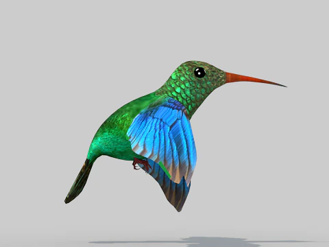 Beija-flor Dois Modelo 3D