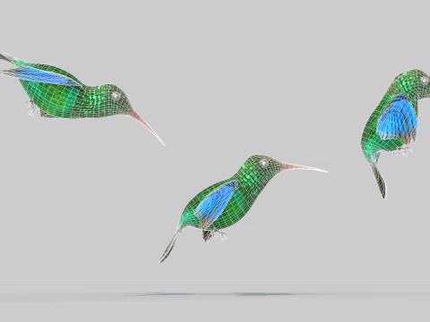 Beija-flor Dois Modelo 3D
