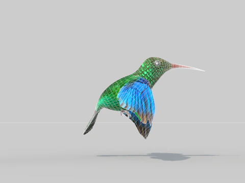 Beija-flor Dois Modelo 3D