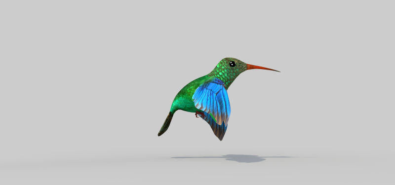 Hummingbird Two 3D Model .c4d .max .obj .3ds .fbx .stl .blend 