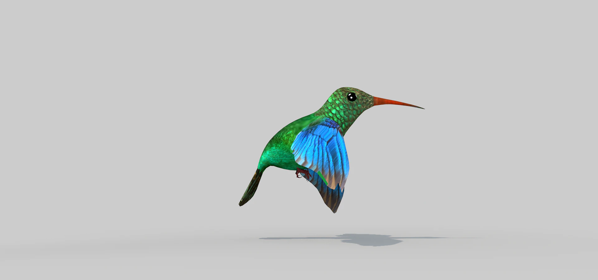 Beija-flor Dois Modelo 3D .c4d .max .obj .3ds .fbx .stl .blend 