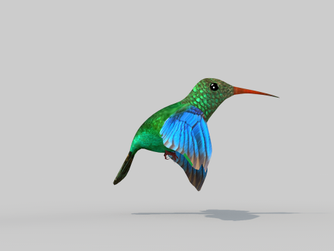 Hummingbird Two Modelo 3D
