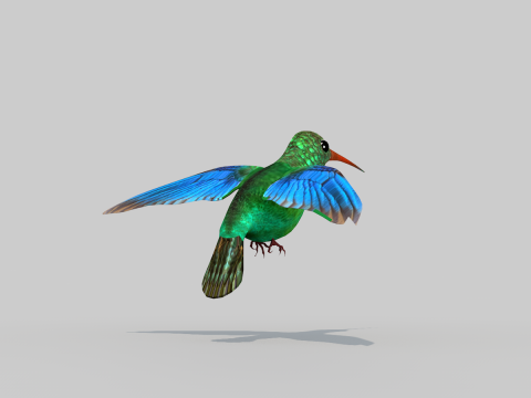 Hummingbird Two 3D Model