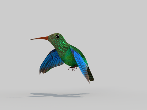 Hummingbird Two 3D Model
