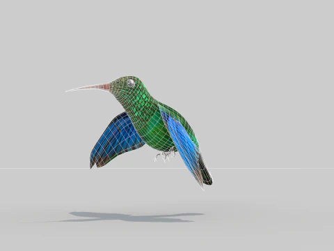 Beija-flor Dois Modelo 3D